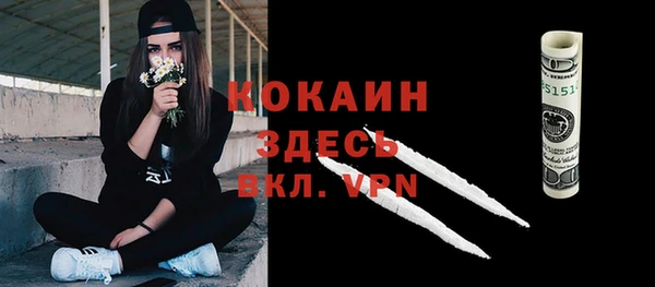 дживик Аркадак