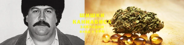 дживик Аркадак