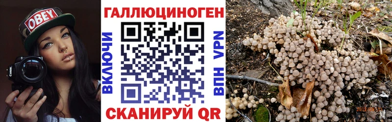 Псилоцибиновые грибы Cubensis  Мантурово 